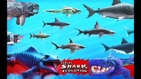 all the sharks in hungry shark evolution|hungry shark evolution evolve update.